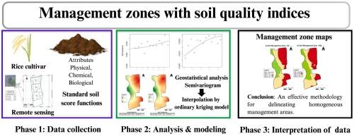 The delineation of management zones using soil quality indices for the cultivation of irrigated rice (Oryza sativa L.) in Huila, Colombia