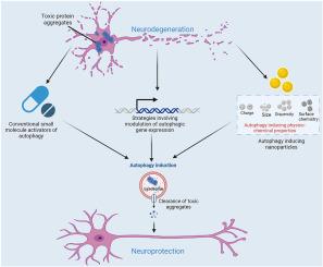 Novel prospects in targeting neurodegenerative disorders via autophagy