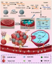 Preventing postsurgical colorectal cancer relapse: A hemostatic hydrogel loaded with METTL3 inhibitor for CAR-NK cell therapy