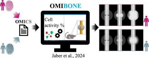 OMIBONE: Omics-driven computer model of bone regeneration for personalized treatment