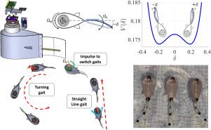 Hopping potential wells and gait switching in a fish-like robot with a bistable tail