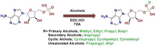 An improved synthesis of alkyl AMP esters