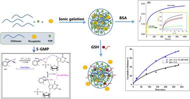 Picoplatin (II)-loaded chitosan nanocomposites as effective drug delivery systems: Preparation, mechanistic investigation of BSA/5-GMP/GSH binding and biological evaluations