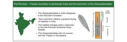 The Permian – Triassic boundary in Peninsular India and the extinction of the Glossopteridales