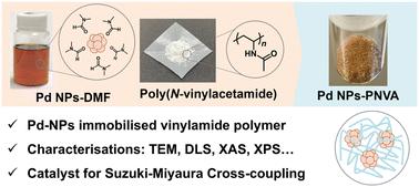 Synthesis of colloidal Pd nanoparticles immobilised on poly(N-vinylacetamide): characterisation and application in catalysis†