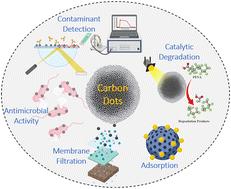 Carbon dots: a promising path towards environmental sustainability