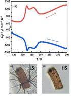 Stimuli-responsive spin crossover behavior in 3D Fe(ii) porous coordination polymers for guest molecules†