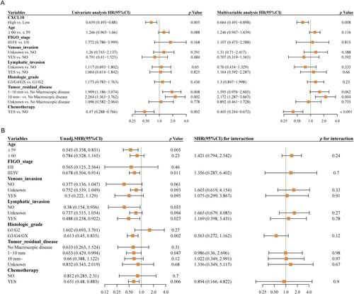 Radiomics Signatures Based on Computed Tomography for Noninvasive Prediction of CXCL10 Expression and Prognosis in Ovarian Cancer