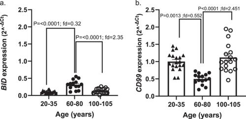 RNA sequencing comparing centenarian and middle-aged women lymphoblastoid cell lines identifies age-related dysregulated expression of genes encoding selenoproteins, heat shock proteins, CD99, and BID