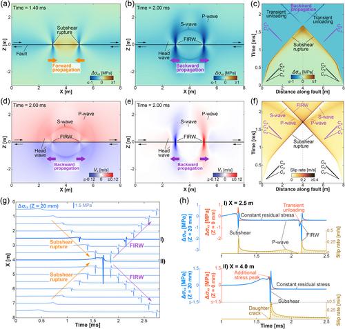 Back-Propagating Rupture: Nature, Excitation, and Implications