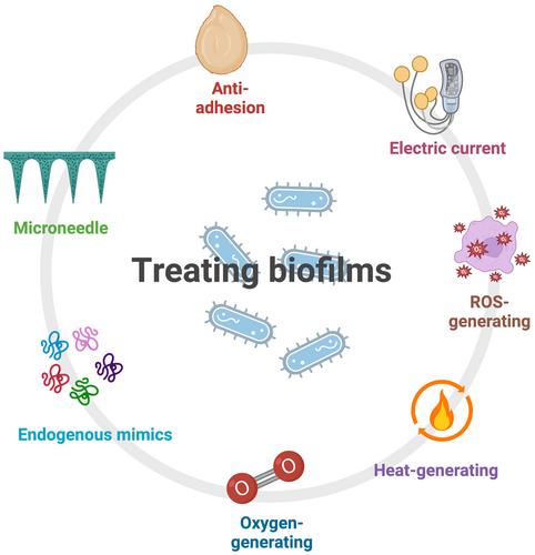 Emerging strategies for treating medical device and wound-associated biofilm infections