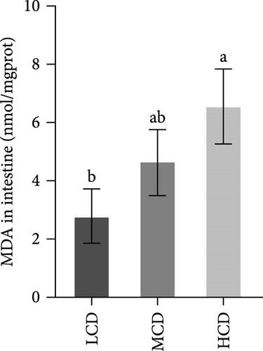 The Effect of High Levels Carbohydrate on Intestinal Microbiota, Metabolites, and Health of Common Carp (Cyprinus carpio L.)