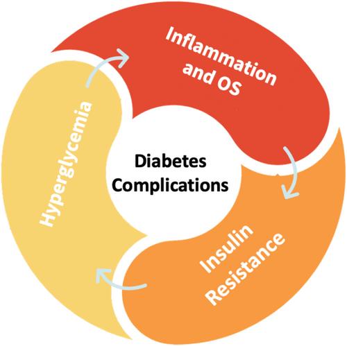 Overview of oxidative stress and inflammation in diabetes