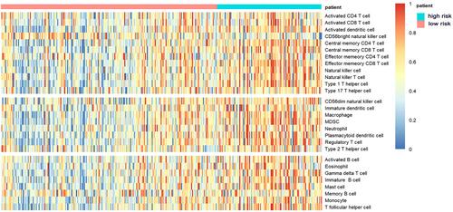 A Four-Gene Autophagy-Related Prognostic Model Signature and Its Association With Immune Phenotype in Lung Squamous Cell Carcinoma