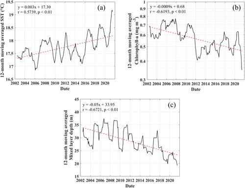 Long-Term Variability of Phytoplankton Primary Production in the Ulleung Basin, East Sea/Japan Sea Using Ocean Color Remote Sensing