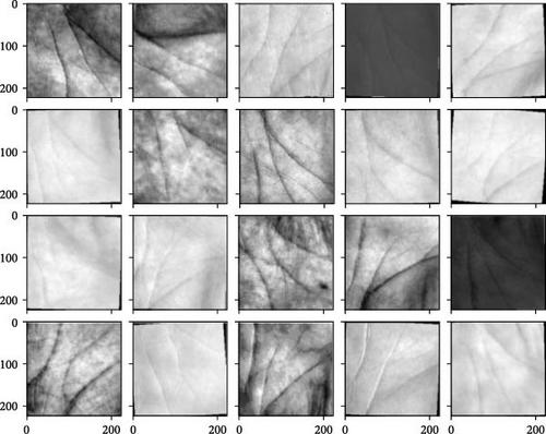 Deep and Shallow Feature Fusion in Feature Score Level for Palmprint Recognition