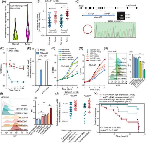 CircRNome-wide characterisation reveals the promoting role of circAATF in anti-PD-L1 immunotherapy of gallbladder carcinoma