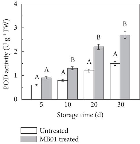 Transcriptome Analysis Reveals the Changes of Multiple Genes Involved in Disease Resistance of Postharvest “Huangguan” Pears Treated With Lysobacter enzymogenes MB01