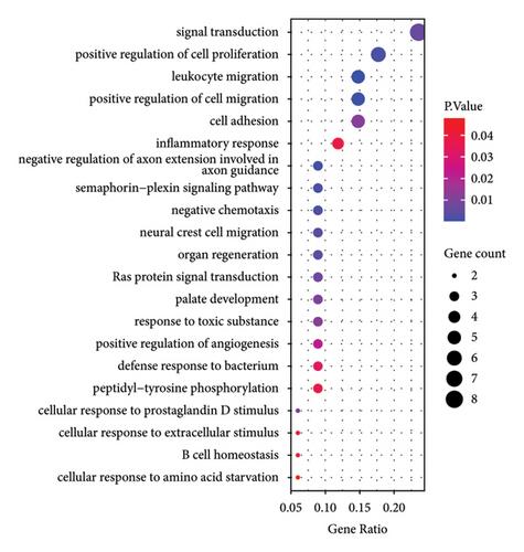 Analysis and Identification of Methylation-Modifying Genes Associated with Hypoxia and Immunity in Keloids