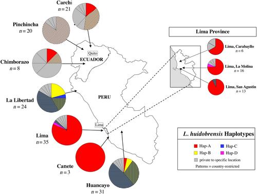 Peruvian origin and global invasions of five continents by the highly damaging agricultural pest Liriomyza huidobrensis (Diptera: Agromyzidae)