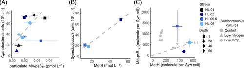 Production and utilization of pseudocobalamin in marine Synechococcus cultures and communities