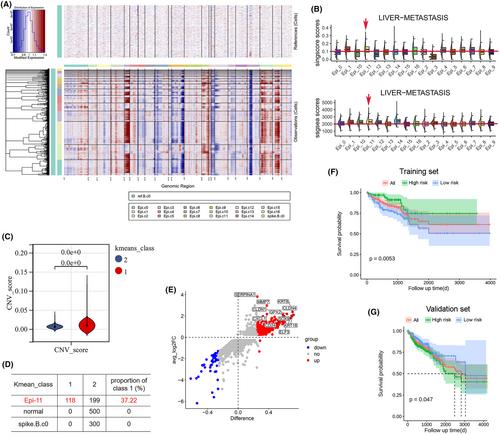 PLXNB1/SEMA4D signals mediate interactions between malignant epithelial and immune cells to promote colorectal cancer liver metastasis