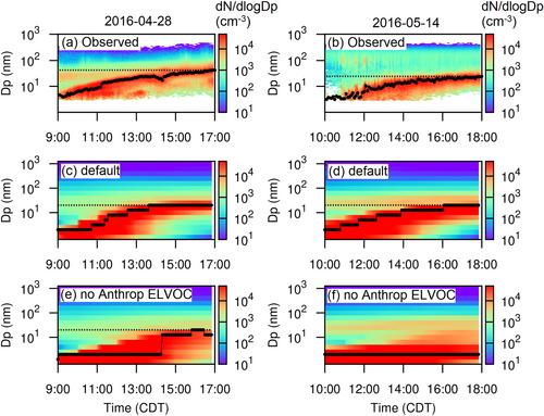 Anthropogenic Extremely Low Volatility Organics (ELVOCs) Govern the Growth of Molecular Clusters Over the Southern Great Plains During the Springtime