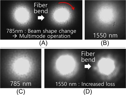 Free-space quantum key distribution transmitter system using WDM filter for channel integration