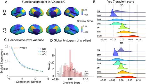 Macroscale Gradient Dysfunction in Alzheimer's Disease: Patterns With Cognition Terms and Gene Expression Profiles