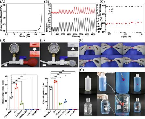 Robust tetra-armed poly (ethylene glycol)-based hydrogel as tissue bioadhesive for the efficient repair of meniscus tears