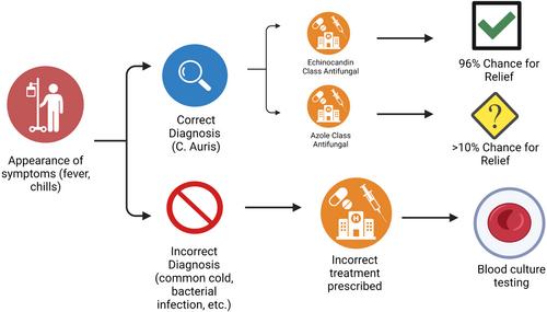 The Candida auris Infection After the COVID-19 Pandemic Seems to be an Urgent Public Health Emergency: A Call to Attention