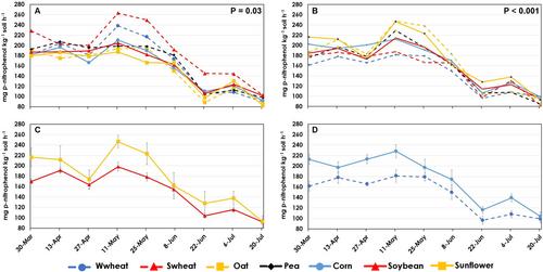 When are you measuring soil β-glucosidase activities in cropping systems?