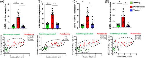 Dynamic changes in macrophage polarization during the resolution phase of periodontal disease