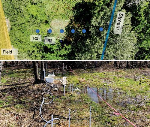 Effectiveness of Riparian Zones for Retaining Phosphorus