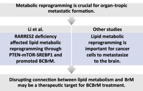 Retinoic acid receptor responder 2 and lipid metabolic reprogramming: A new insight into brain metastasis