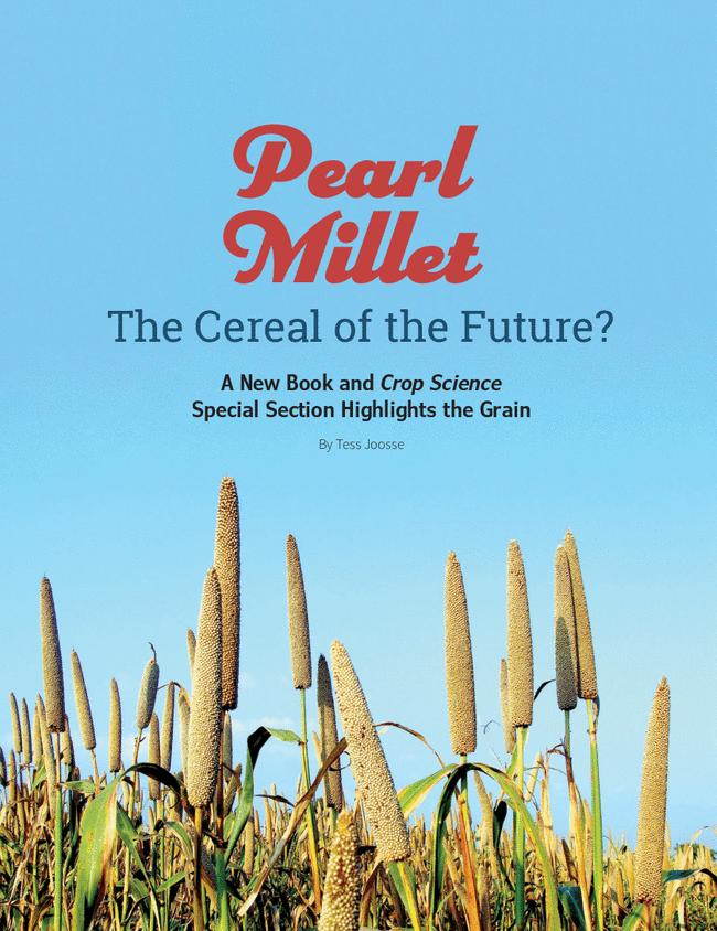 Pearl Millet: The Cereal of the Future?