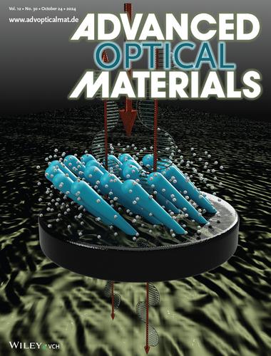 Nanocolumnar Metamaterial Platforms: Scaling Rules for Structural Parameters Revealed from Optical Anisotropy (Advanced Optical Materials 30/2024)