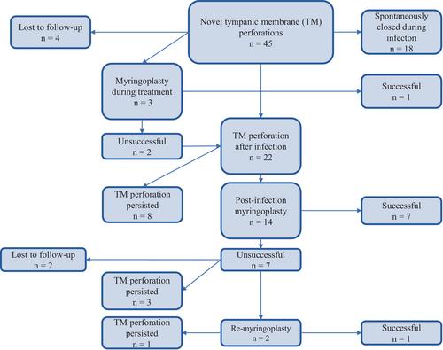 Aspergillus otitis externa: A retrospective study of predisposing factors, treatment, and complications