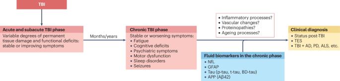 Fluid biomarkers of chronic traumatic brain injury