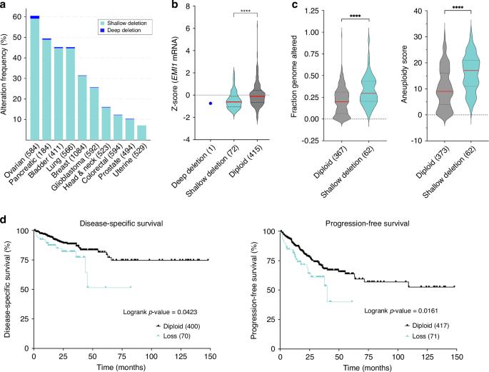 Loss of EMI1 compromises chromosome stability and is associated with cellular transformation in colonic epithelial cell contexts