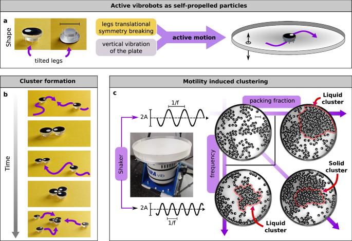 Dynamical clustering and wetting phenomena in inertial active matter