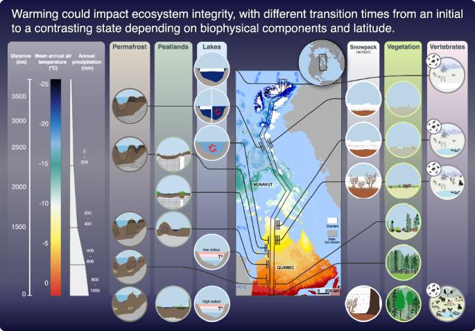 Expert elicitation of state shifts and divergent sensitivities to climate warming across northern ecosystems