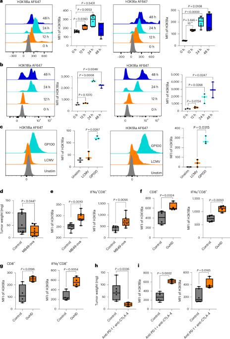 Histone lactylation drives CD8+ T cell metabolism and function