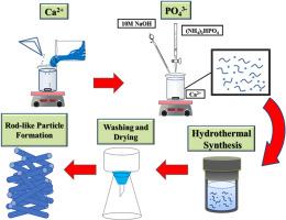 Enhanced lead adsorption by eco-hydroxyapatite derived from marble sludge: Optimization and kinetic study