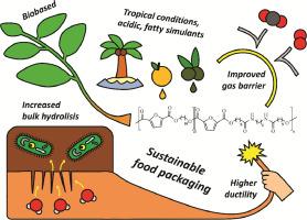 Mechanical properties, gas permeability and biodegradation mechanism of biobased poly(ester amide)s from 2,5-furandicarboxylic acid and amido diols for sustainable food packaging