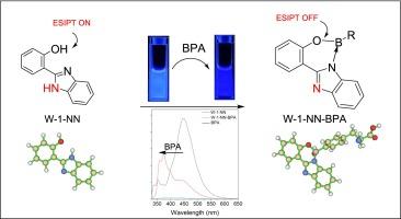 Synthesis and mechanistic investigation of BPA fluorescent probes targeting BPA for potential application in Boron Neutron Capture Therapy (BNCT)