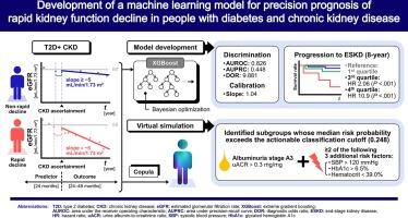 Development of a machine learning model for precision prognosis of rapid kidney function decline in people with diabetes and chronic kidney disease