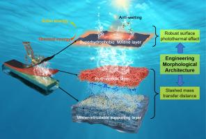 Engineering morphological architecture of superhydrophobic/hydrophilic composite membrane for efficient photothermal membrane distillation