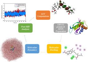 Exploring marine natural products for identifying putative candidates as EBNA1 inhibitors: An insight from molecular docking, molecular dynamics, and DFT computations