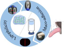 Adhesive lipophilic gels delivering rapamycin prevent oral leukoplakia from malignant transformation